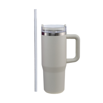 Vacuum Insulated Portable Blender Tumbler – 800ml (HB-C20)